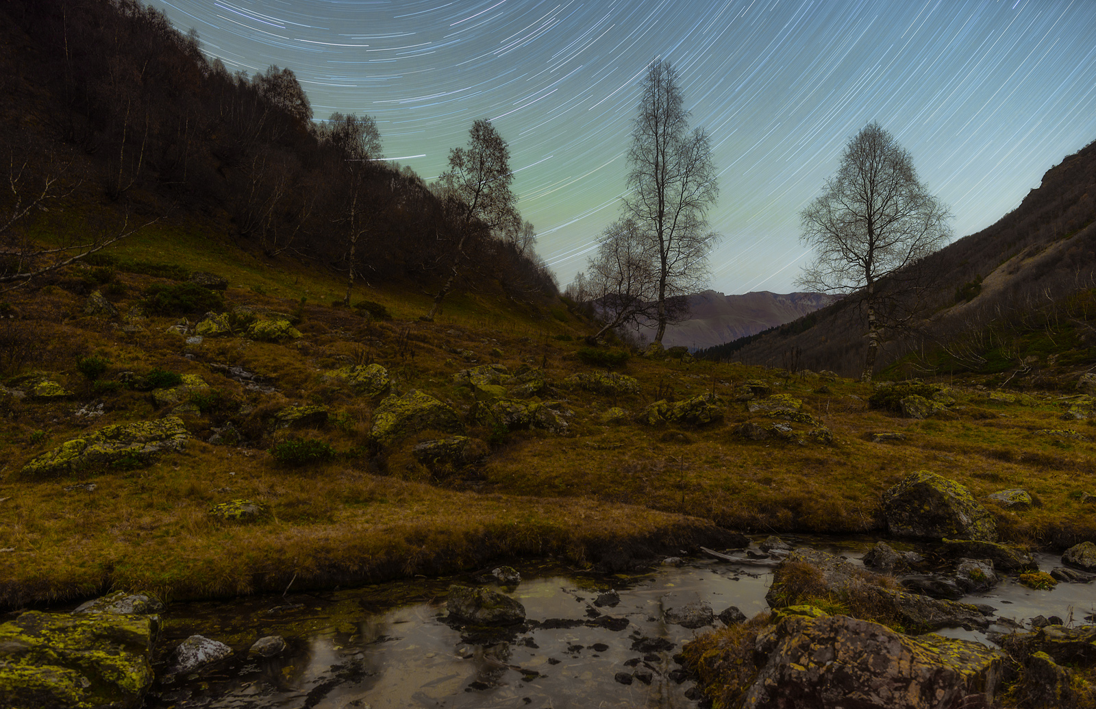 Безлунной ночью у ручья