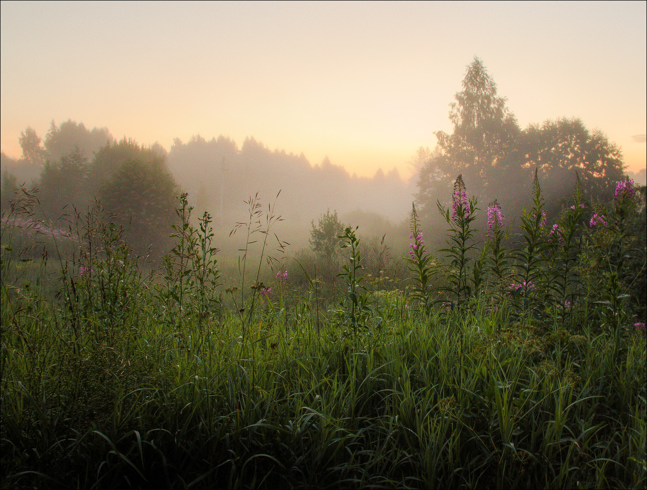 мимо проходил