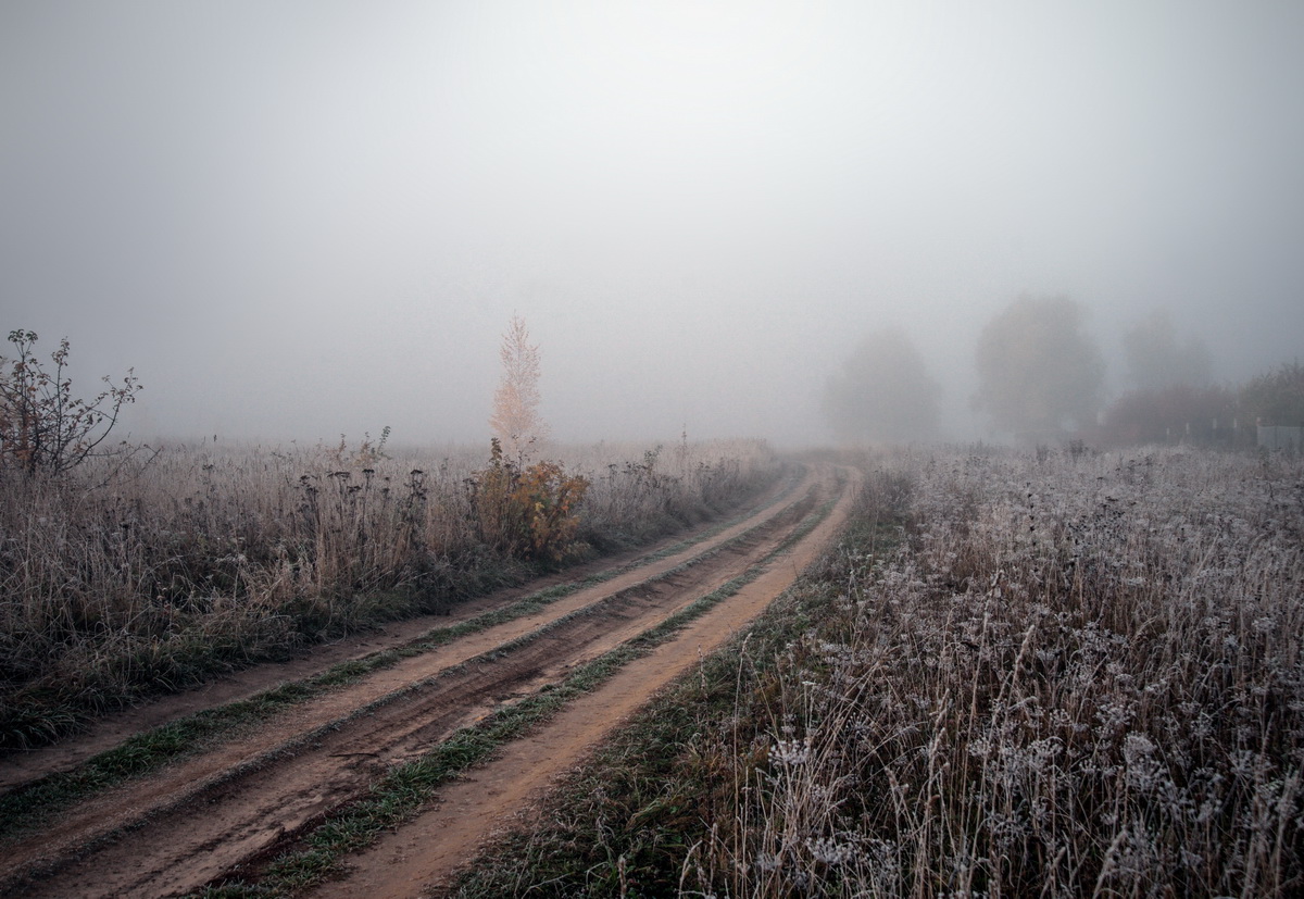 С утра минус