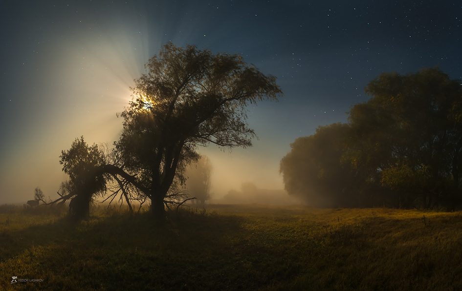 Магия заповедной земли