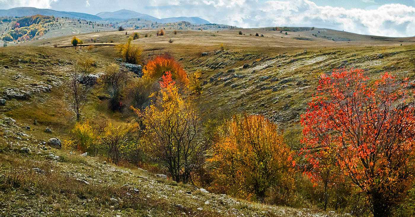 От Осени не спрячешься.