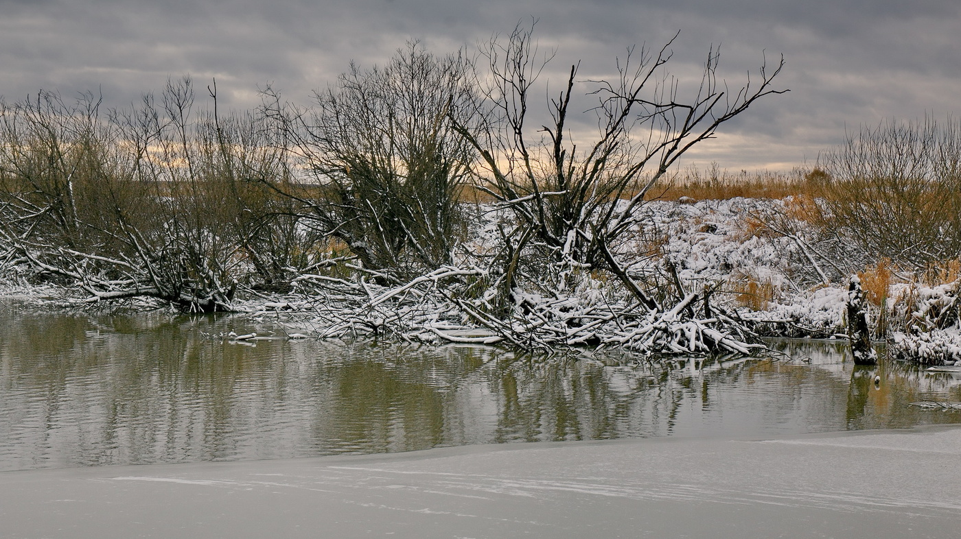 Конец осени.