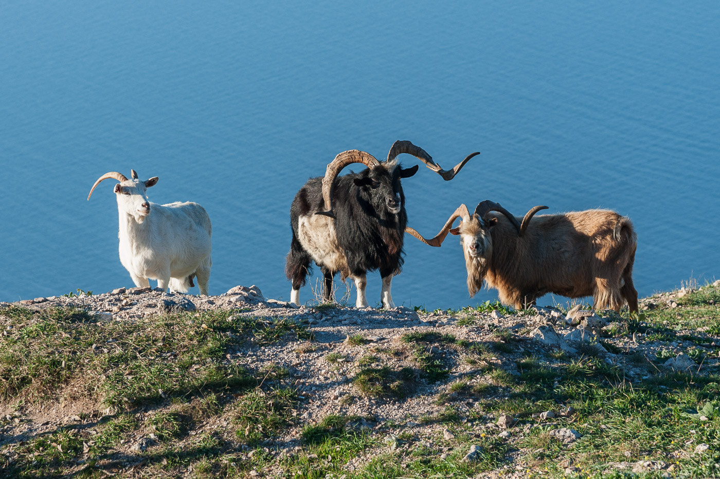 Неожиданная встреча