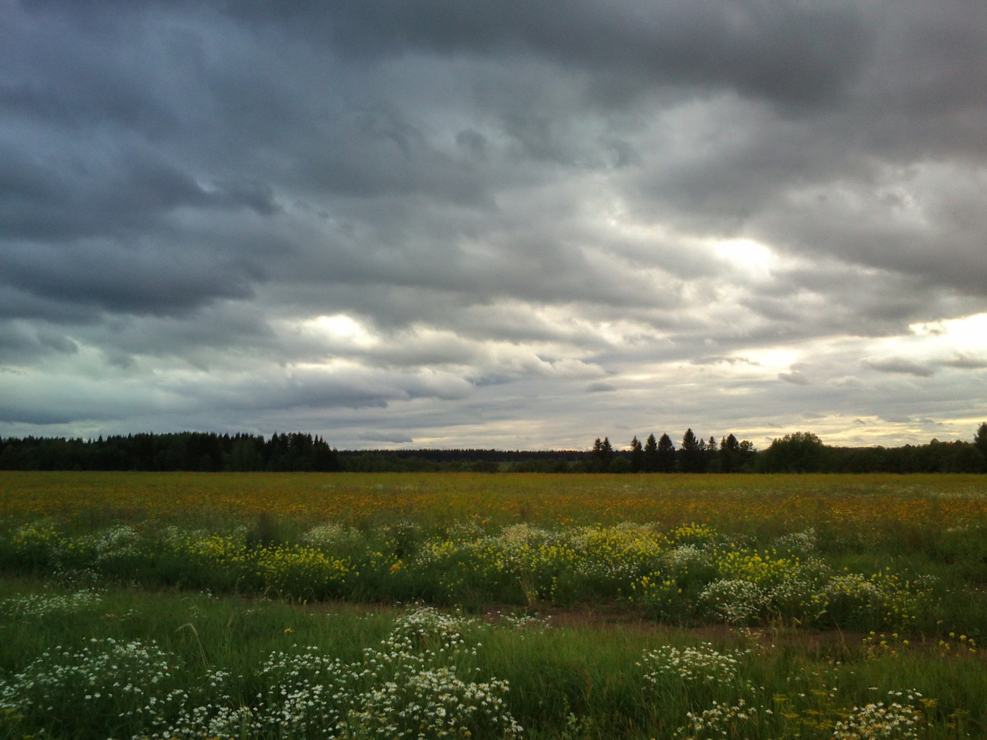 Небо хмурилось..
