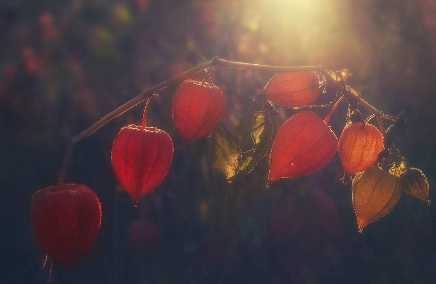 Прощание с октябрем