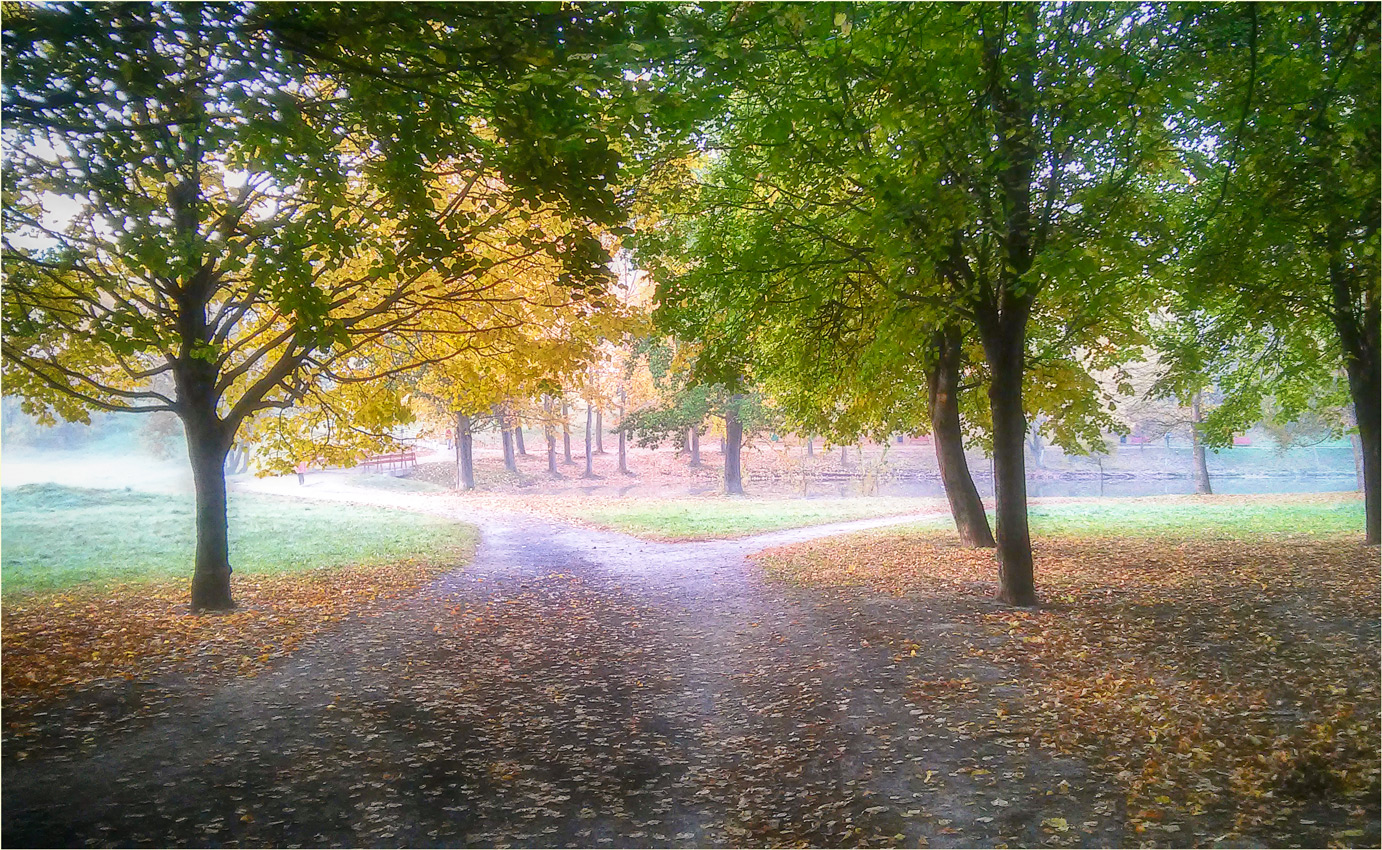 Утром в парке