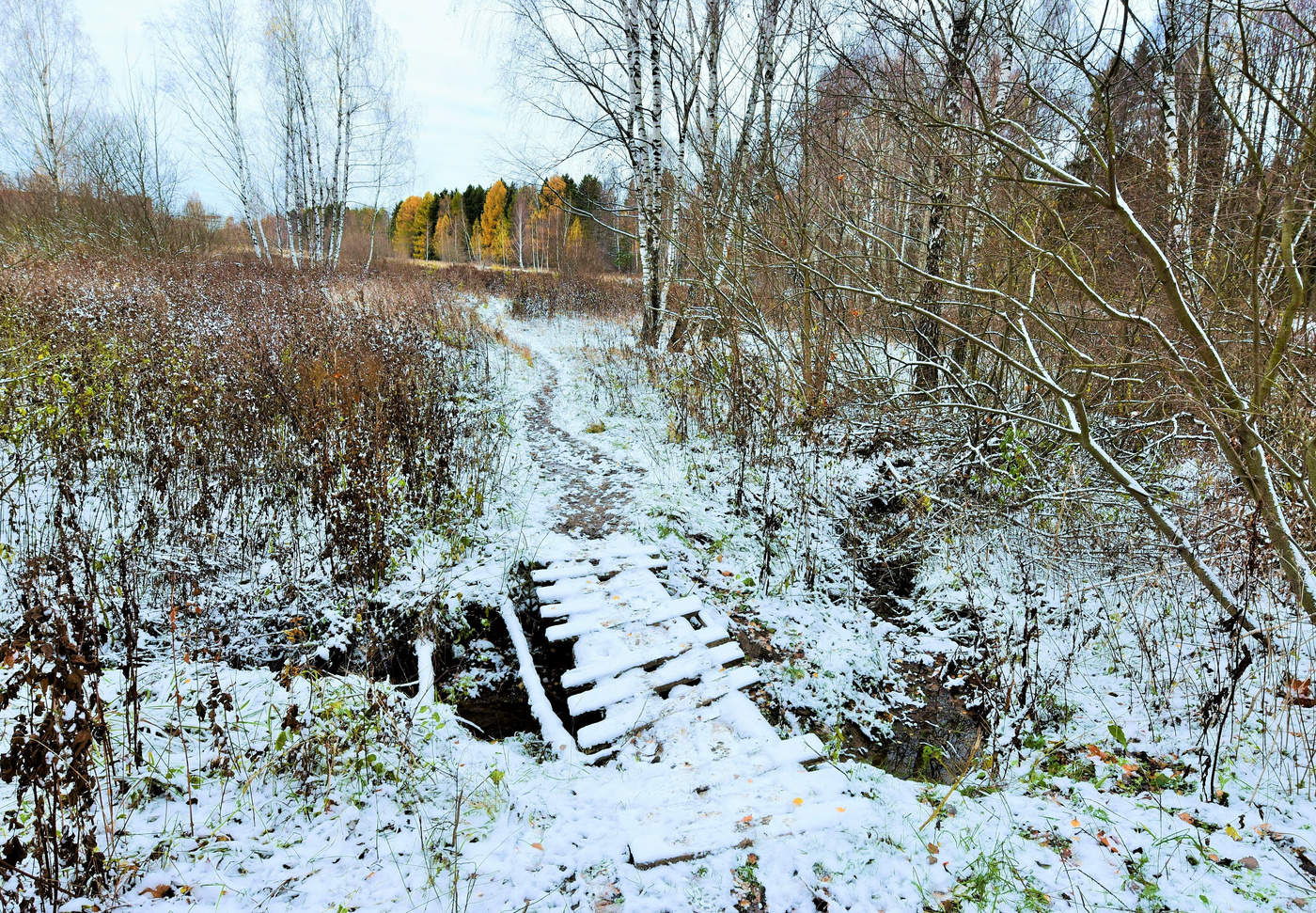 "Довольно скучная пора, стоял ноябрь уж у двора..."