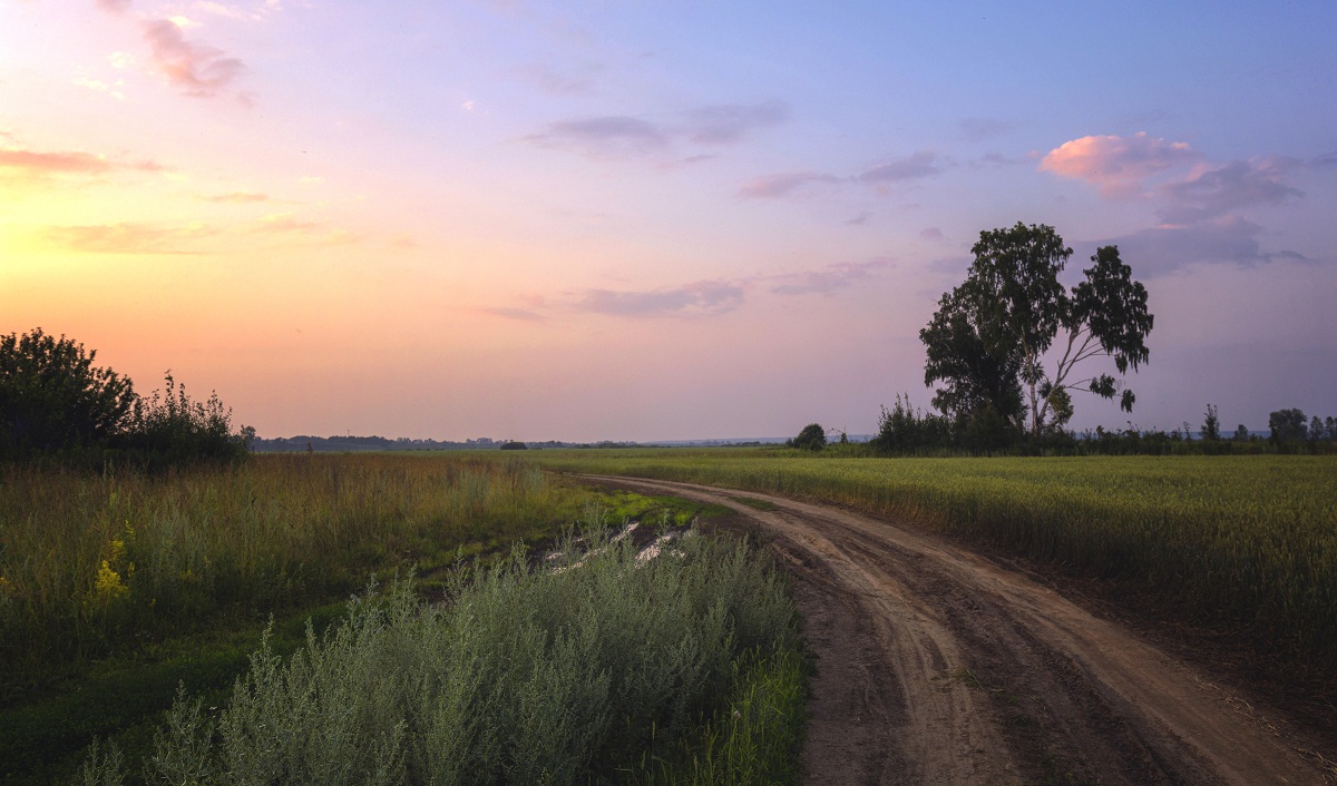 Дело было вечером