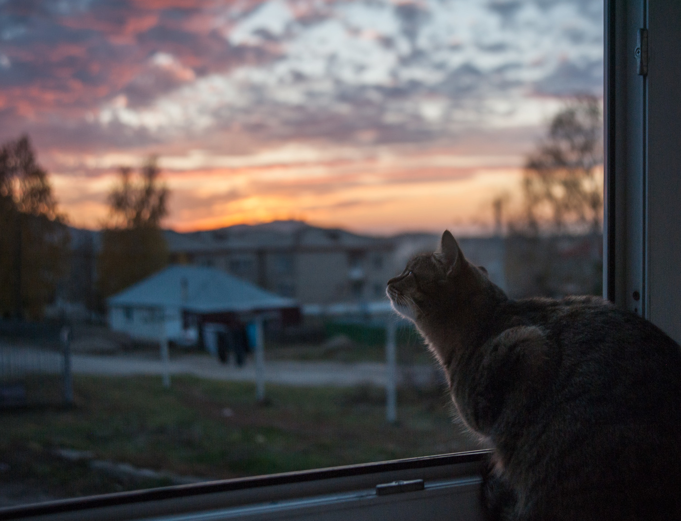 Дело было вечером