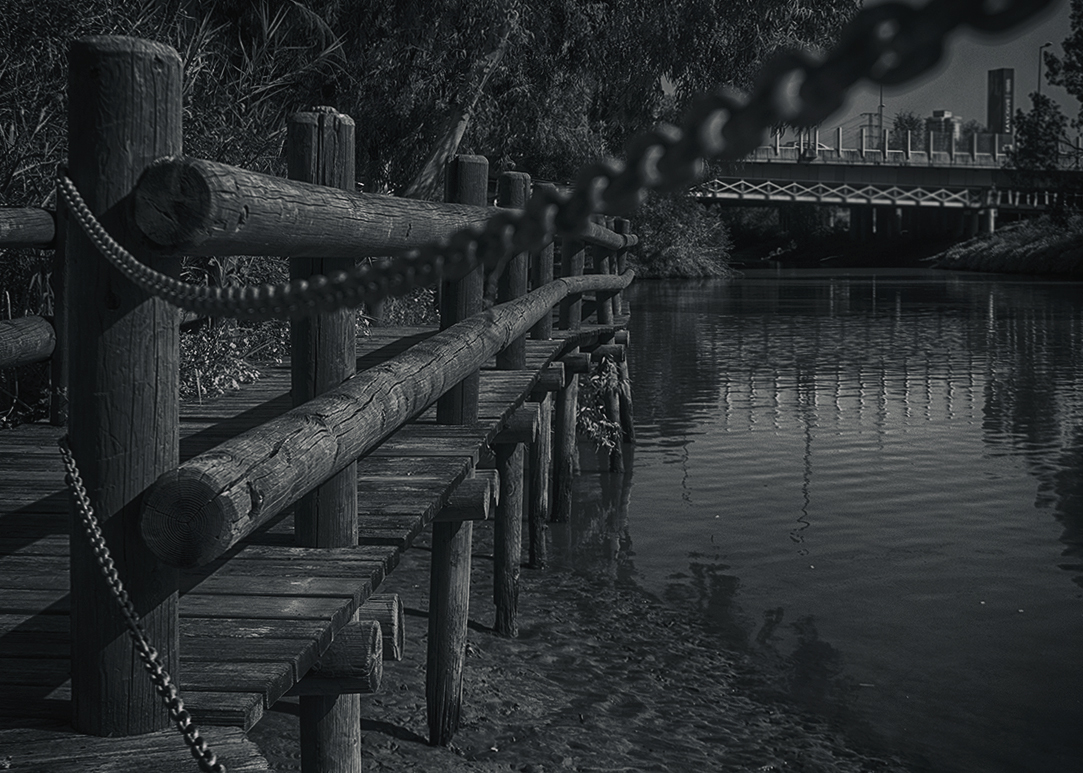 Береговая черта