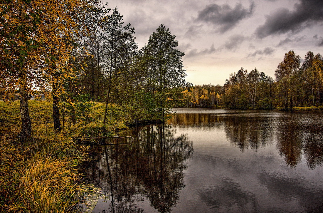 Рябь на пруду