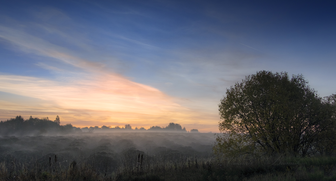 Поднимался туман над полем