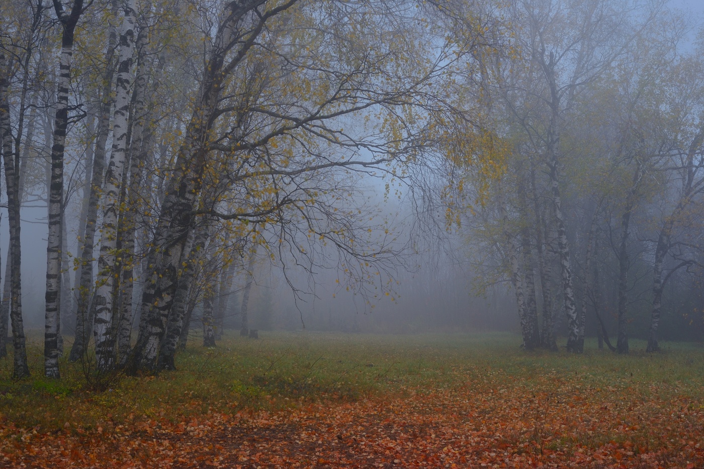 Осеннии аллеи