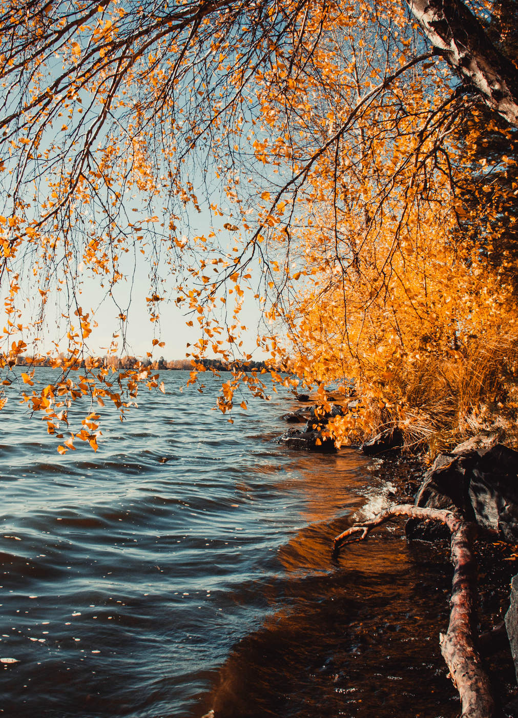 На Городском озере