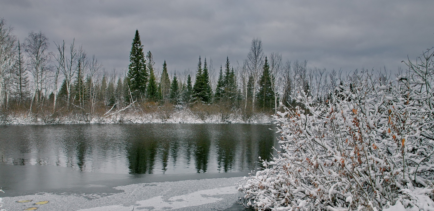 Лесное озеро