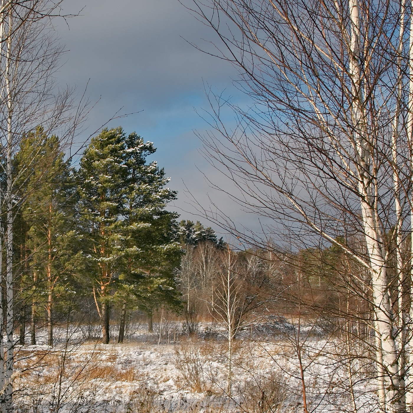 Начало зимы