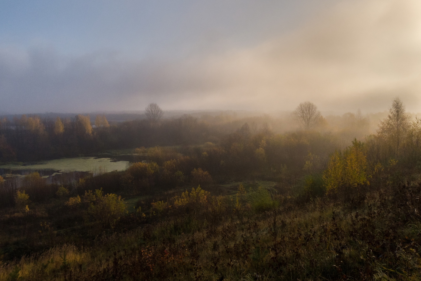 Осеннее утро
