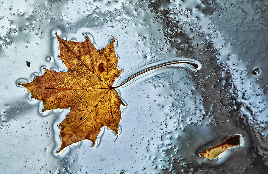 Осенний мотив