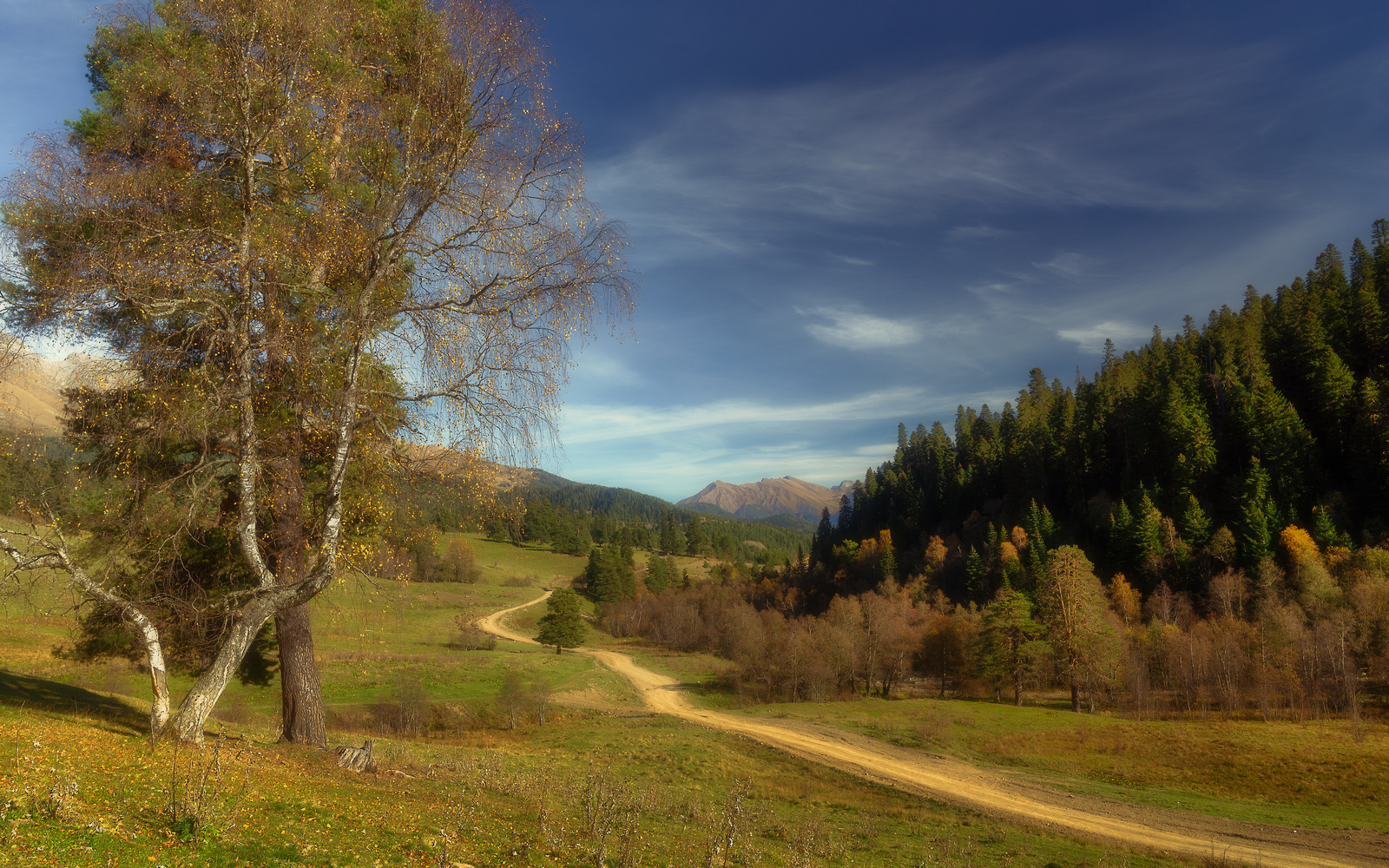 Дорогами осени