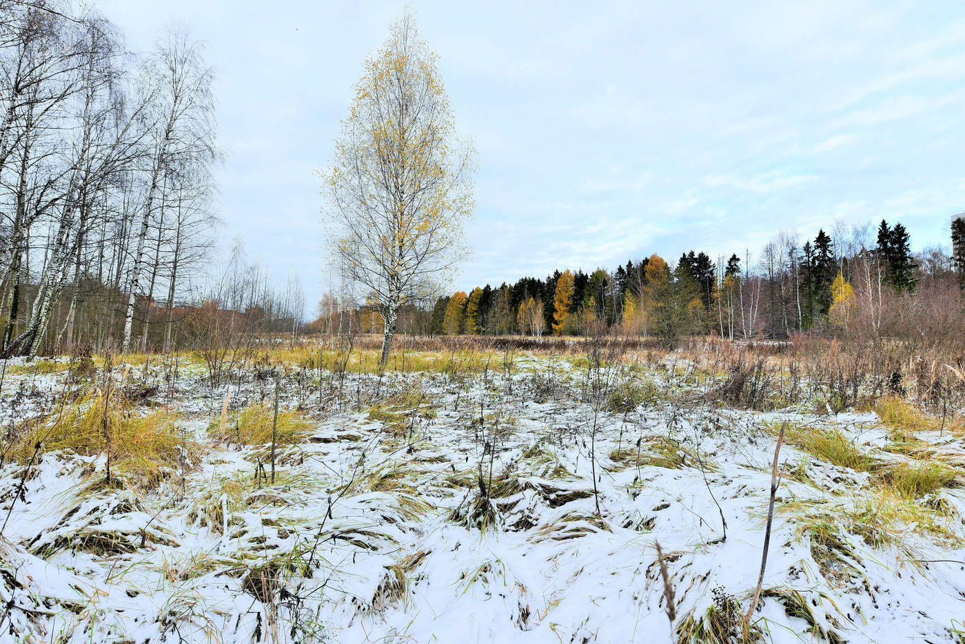 "На цыпочках, почти неслышно к земле подкрался перый снег"