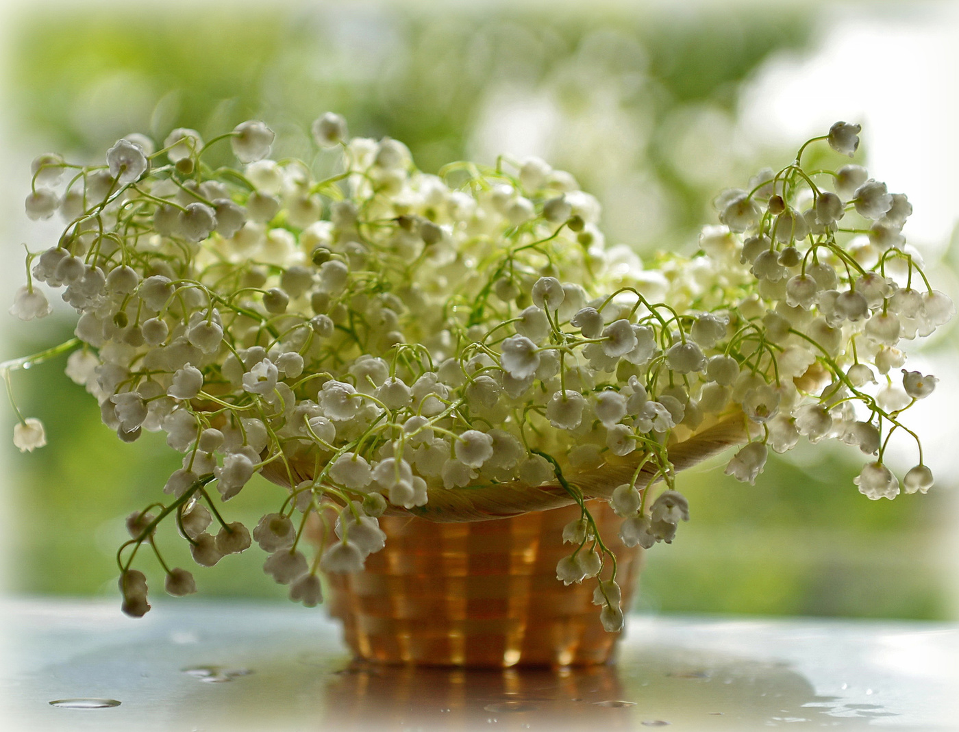 Привет из дней весенних.