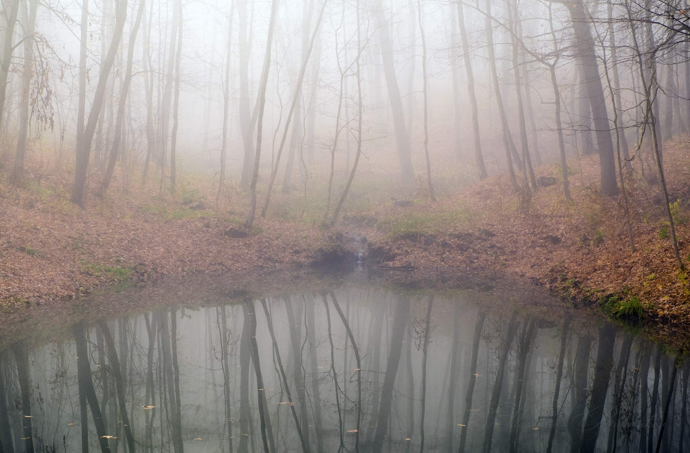 Туманные отражения