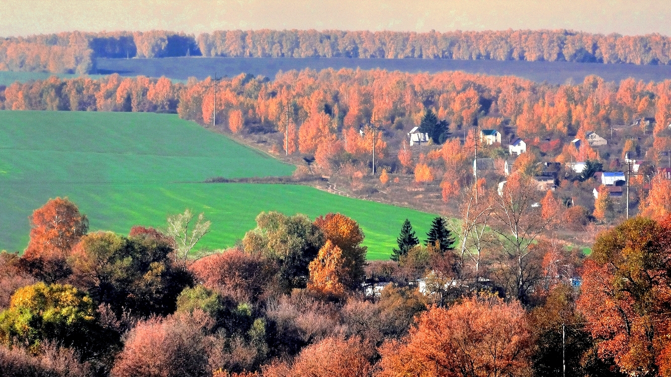 Осень-краса, разные цвета
