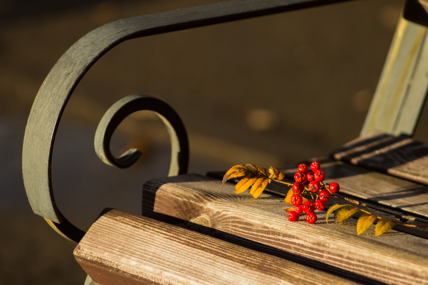 Теплая осень