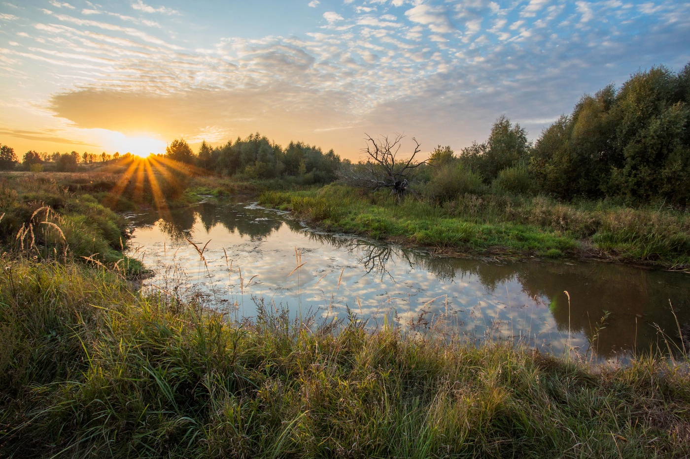 на исходе дня
