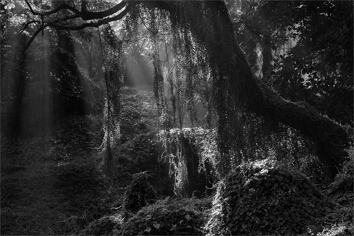 Затерянный мир