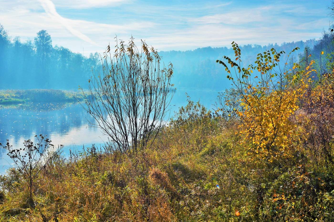 "Какая сладостная тишь ..."