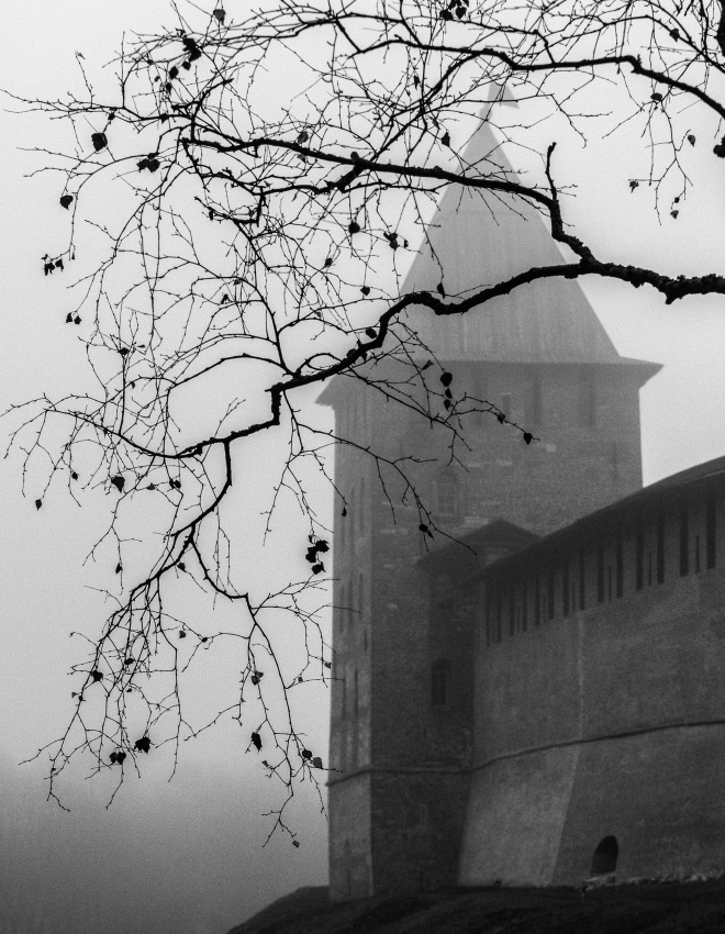 Детинец в тумане.