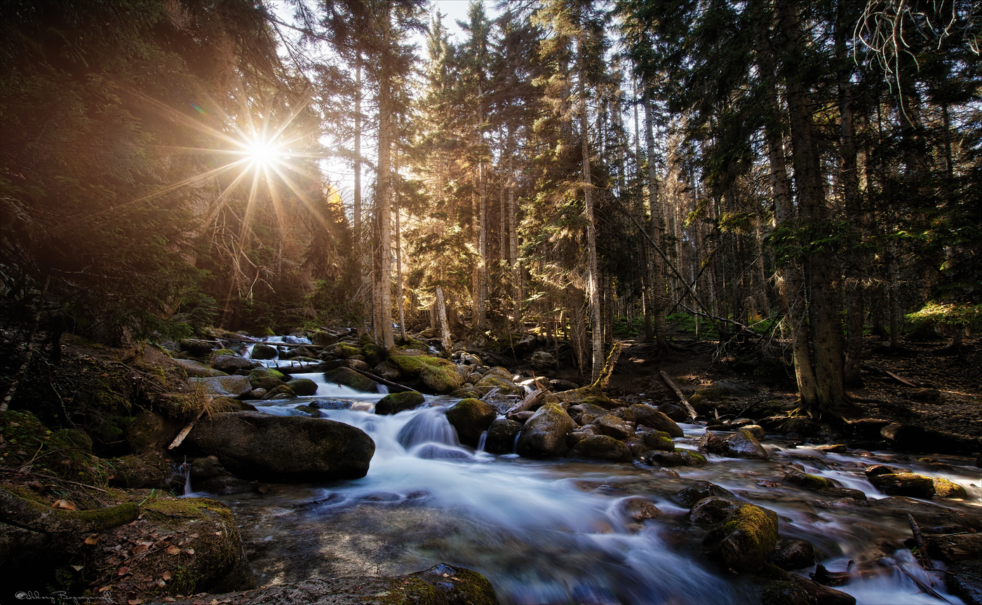 В поисках света.