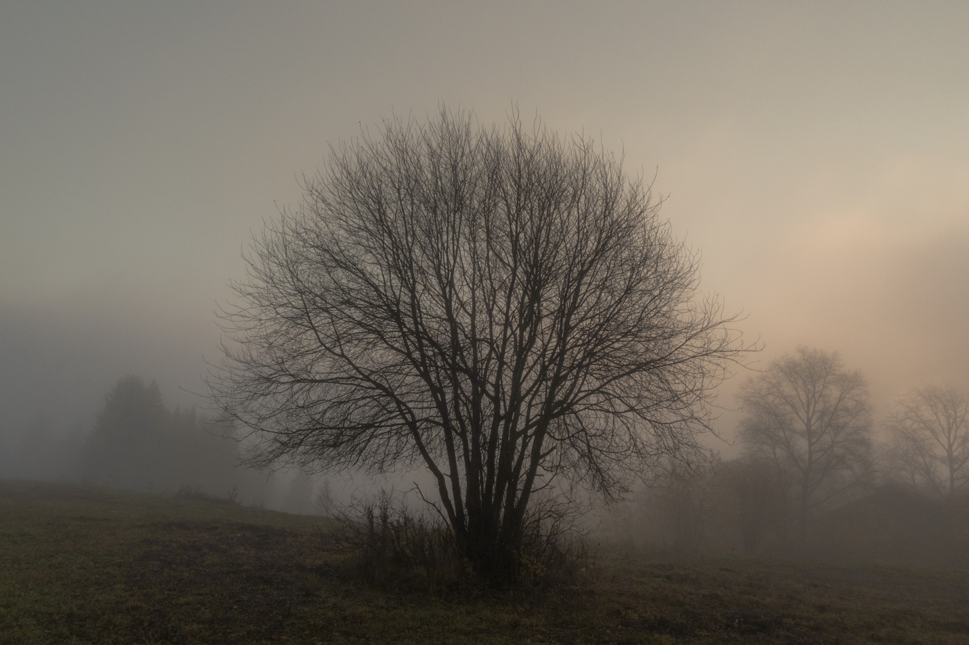 Осень. Рассвет.