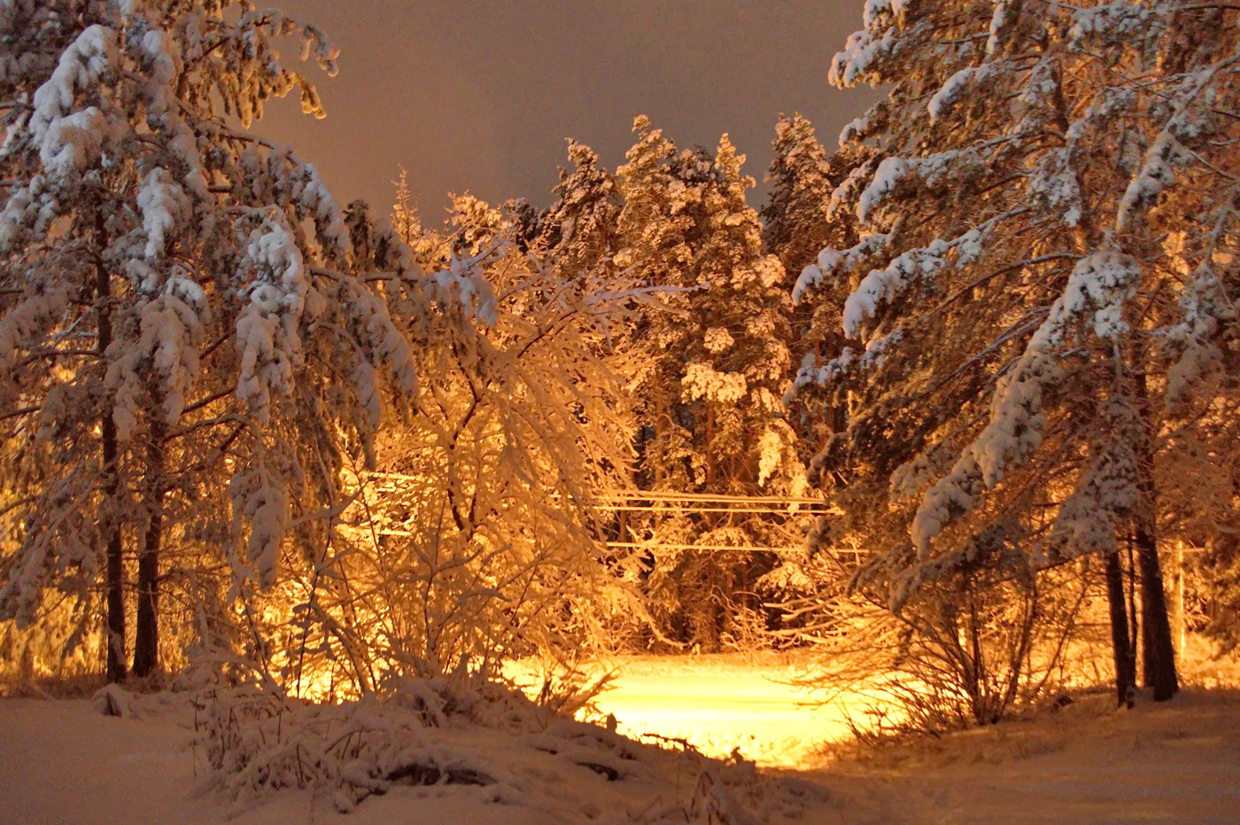 Скоро зима!