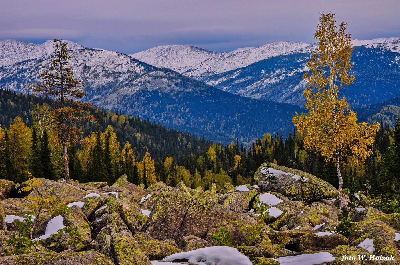 Из осени в зиму