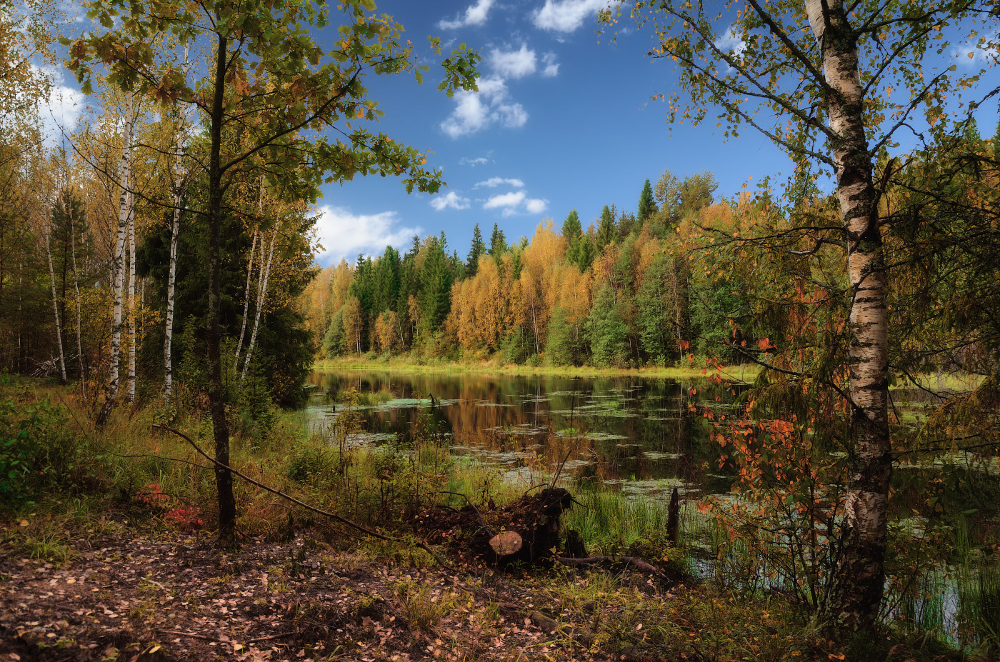 осеннняя пора