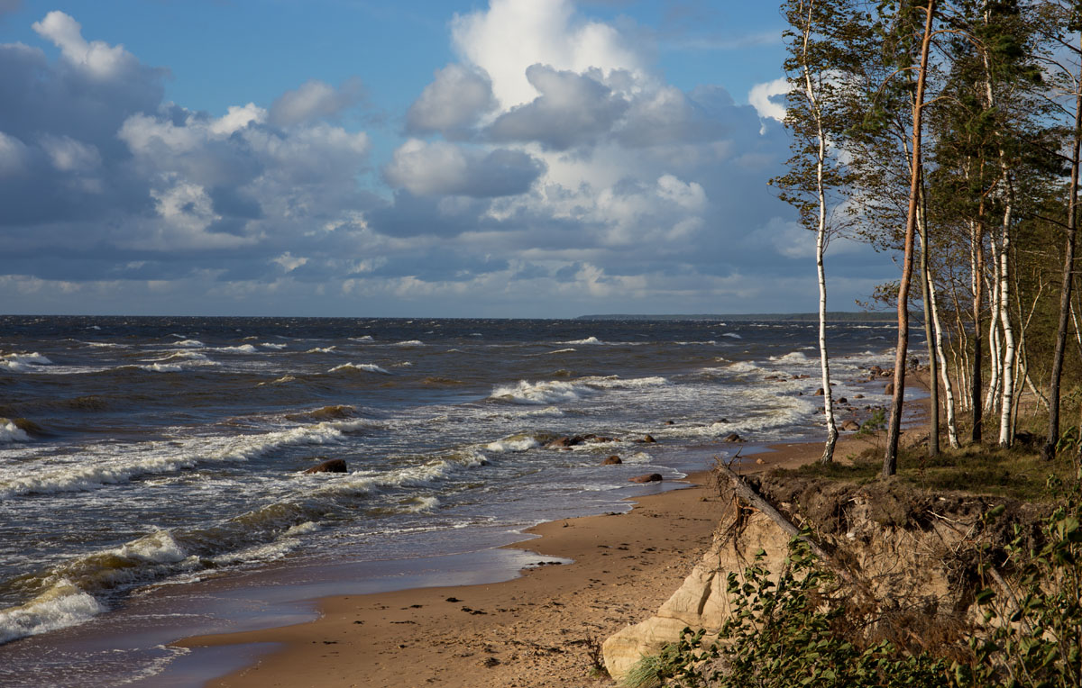 Соленый ветер в лицо