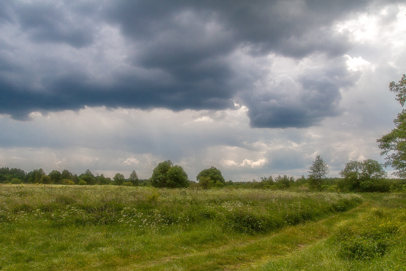 Перед дождем