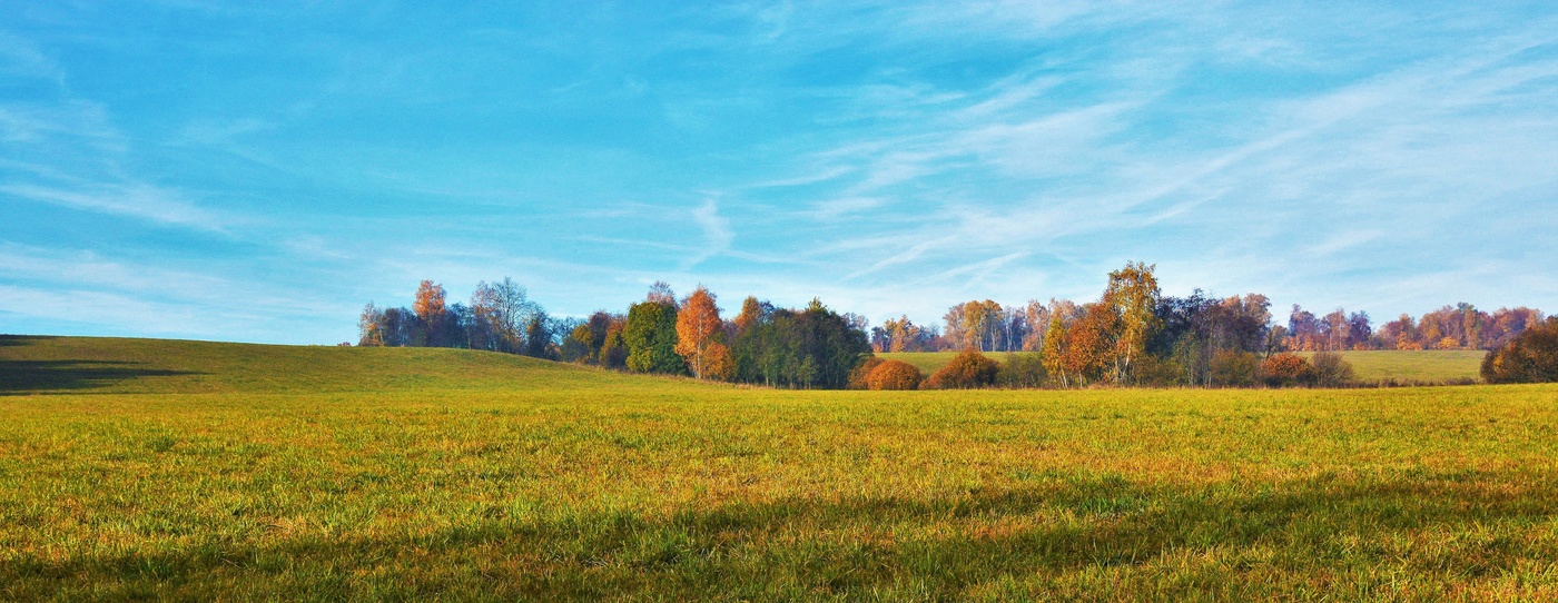 "Дни поздней осени бранят обыкновенно, но мне она мила..."