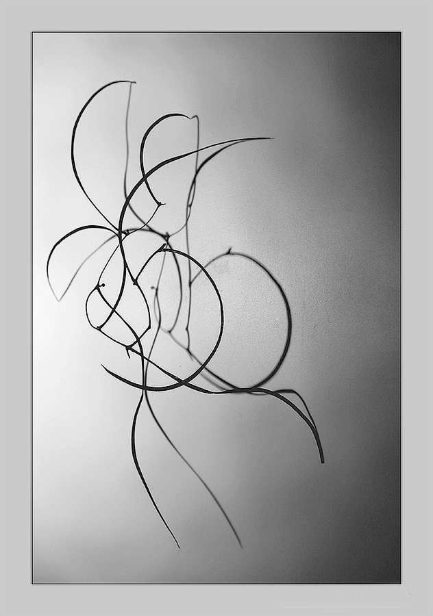 Игра в ассоциации