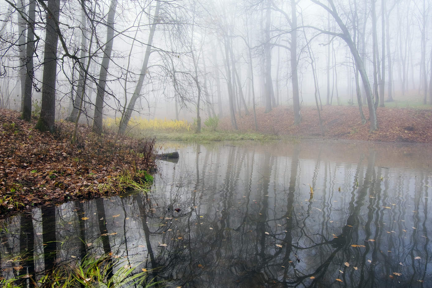 Мягкие контуры осеннего пейзажа