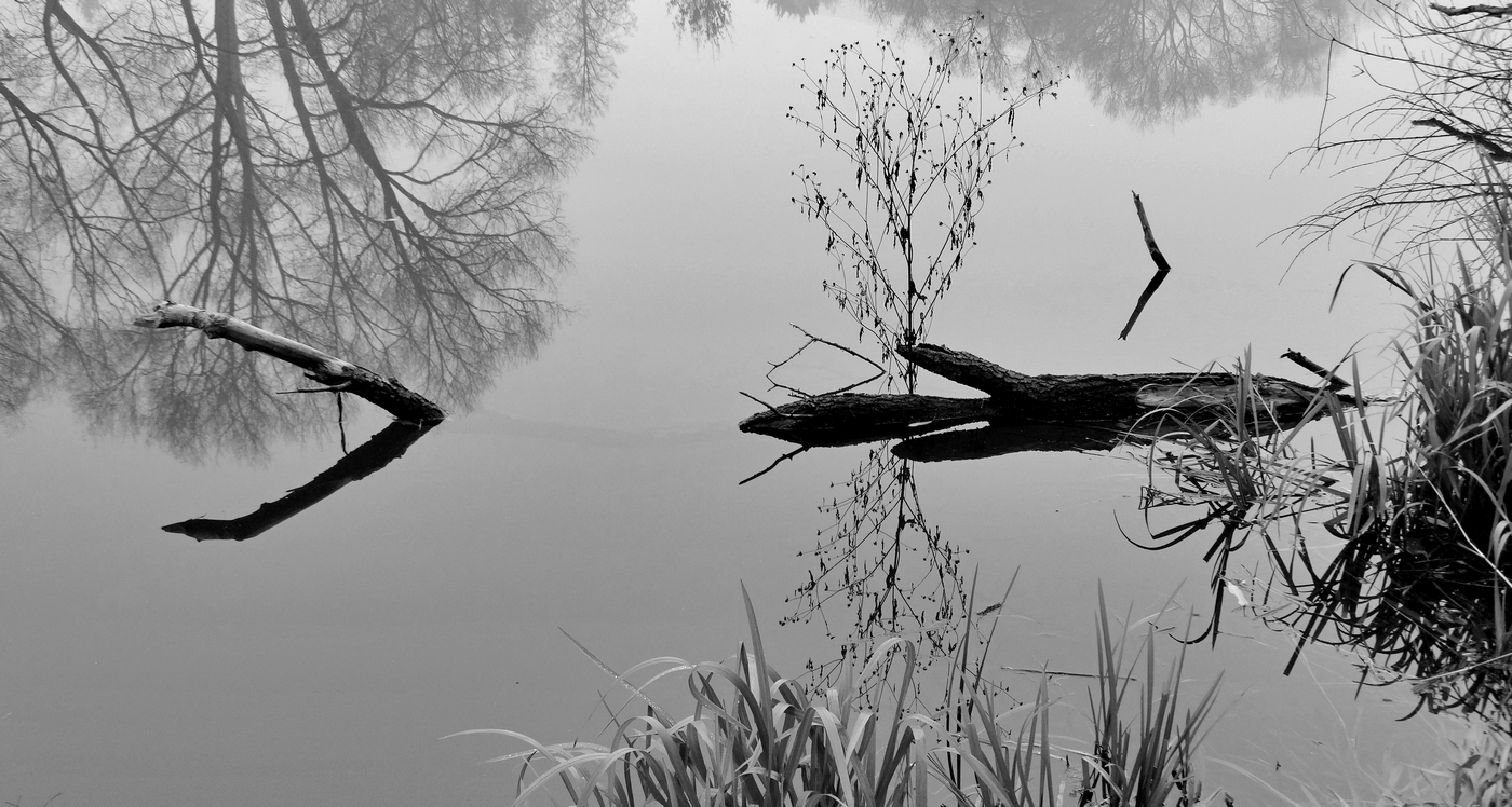 Игра в ассоциации