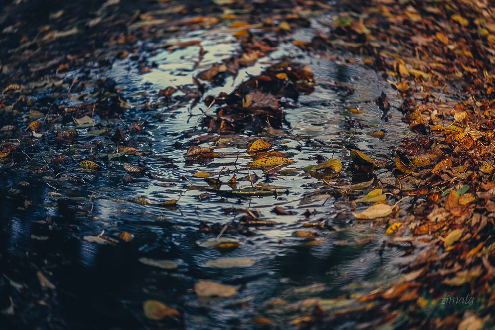 Игра в ассоциации