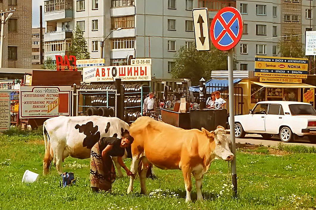 Игра в ассоциации