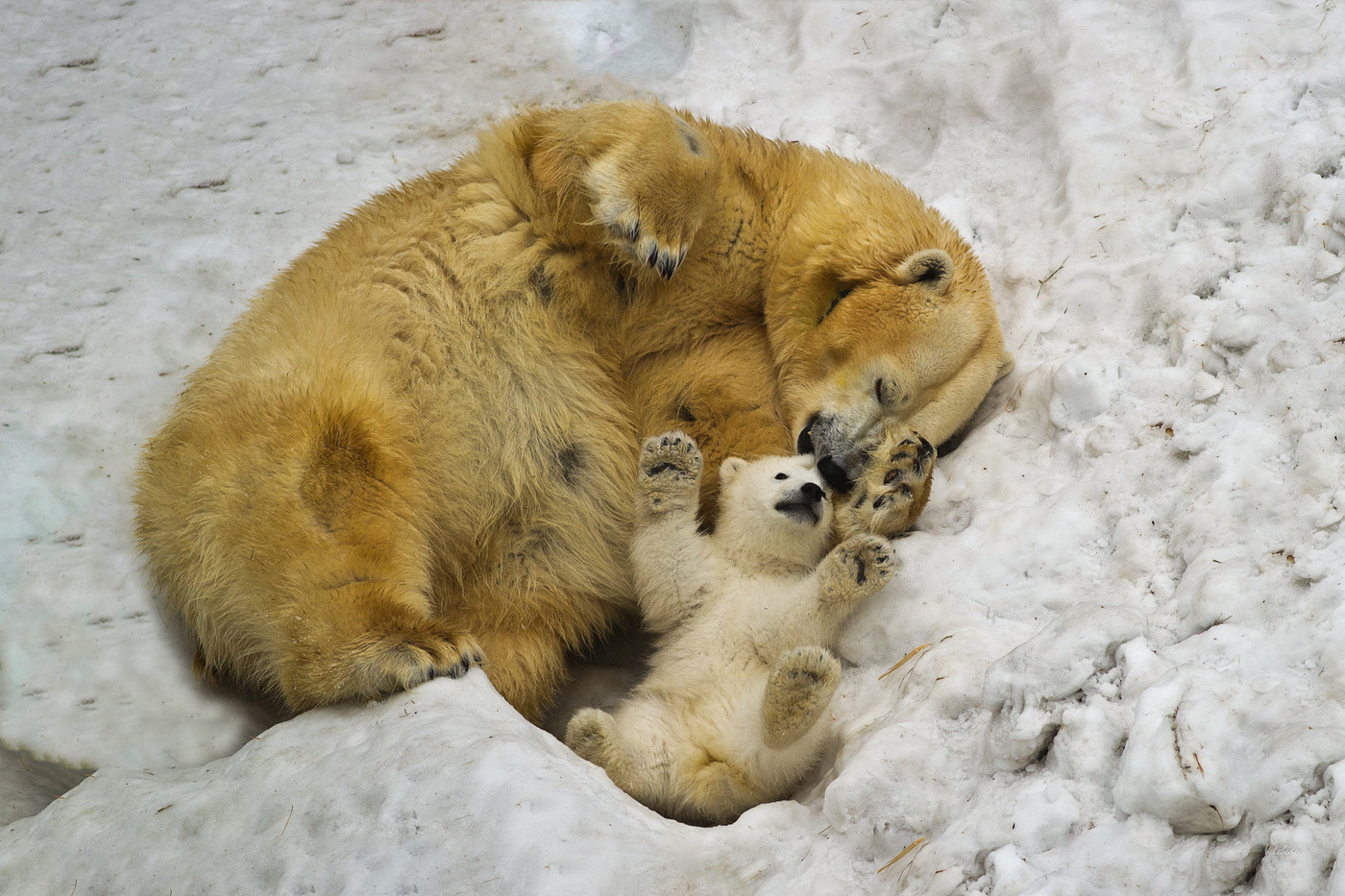 Игра в ассоциации