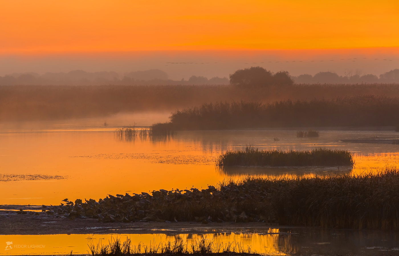 Осенний рассвет над дельтой