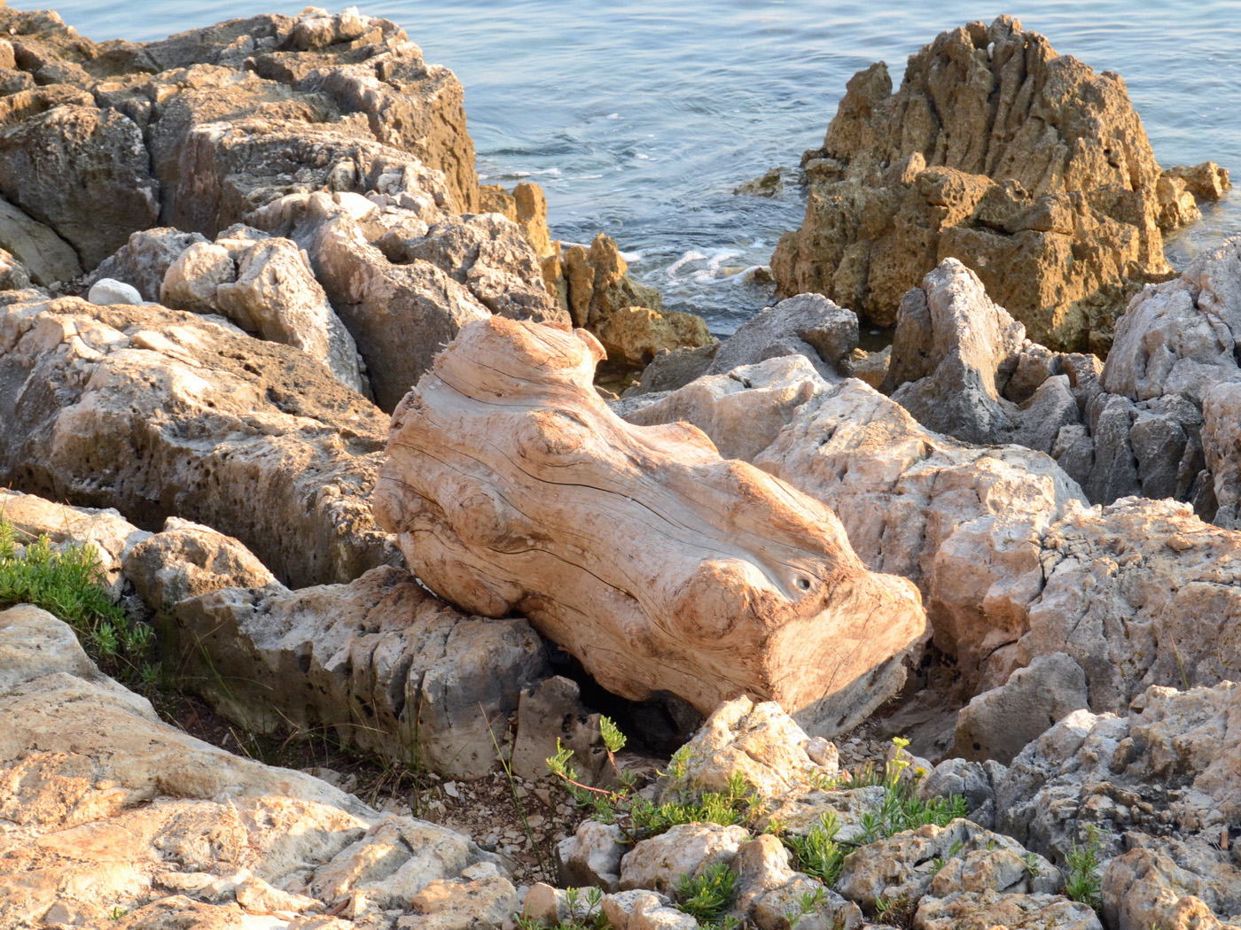 Игра в ассоциации