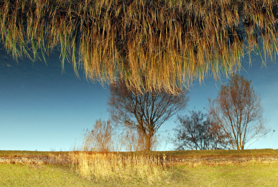 Игра в ассоциации