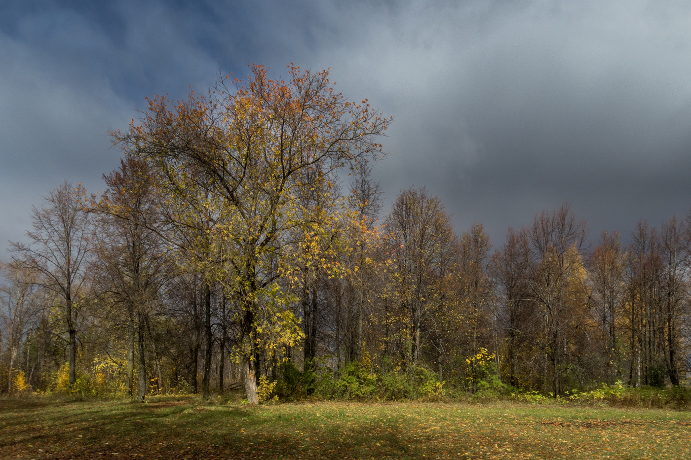 Осеннее настроение